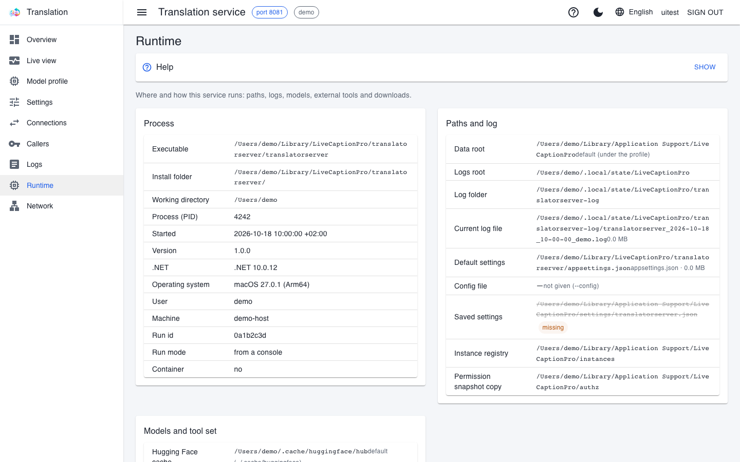 The translator's Runtime page: the Process and the Paths and log boxes